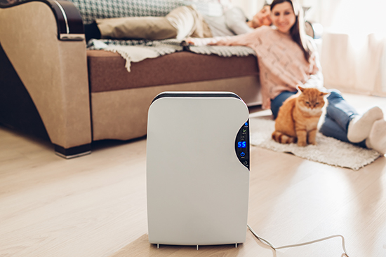 lady with cat in living room with portable home dehumidifier